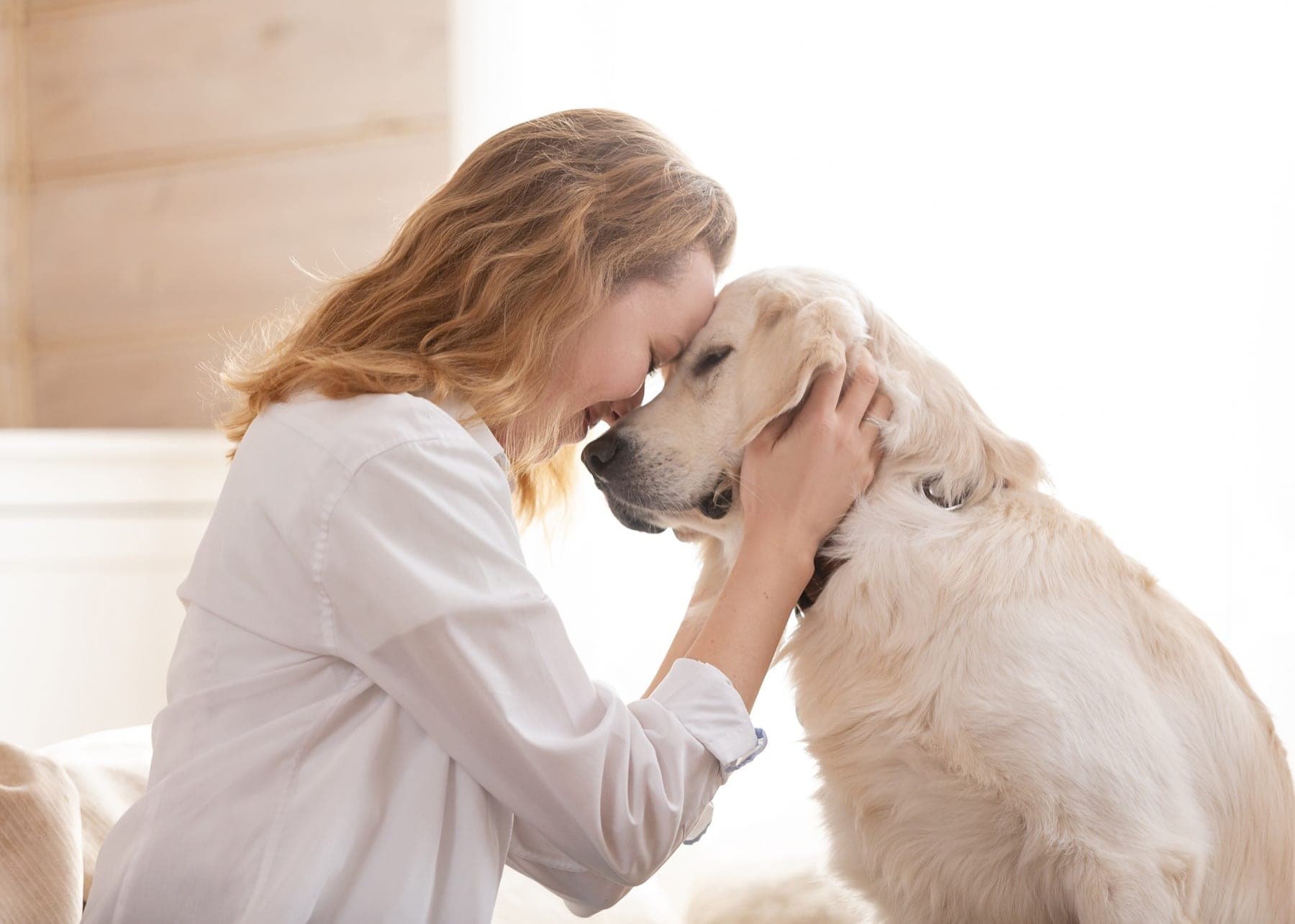A reunited person and dog representing Zoocial lost-pet recovery.