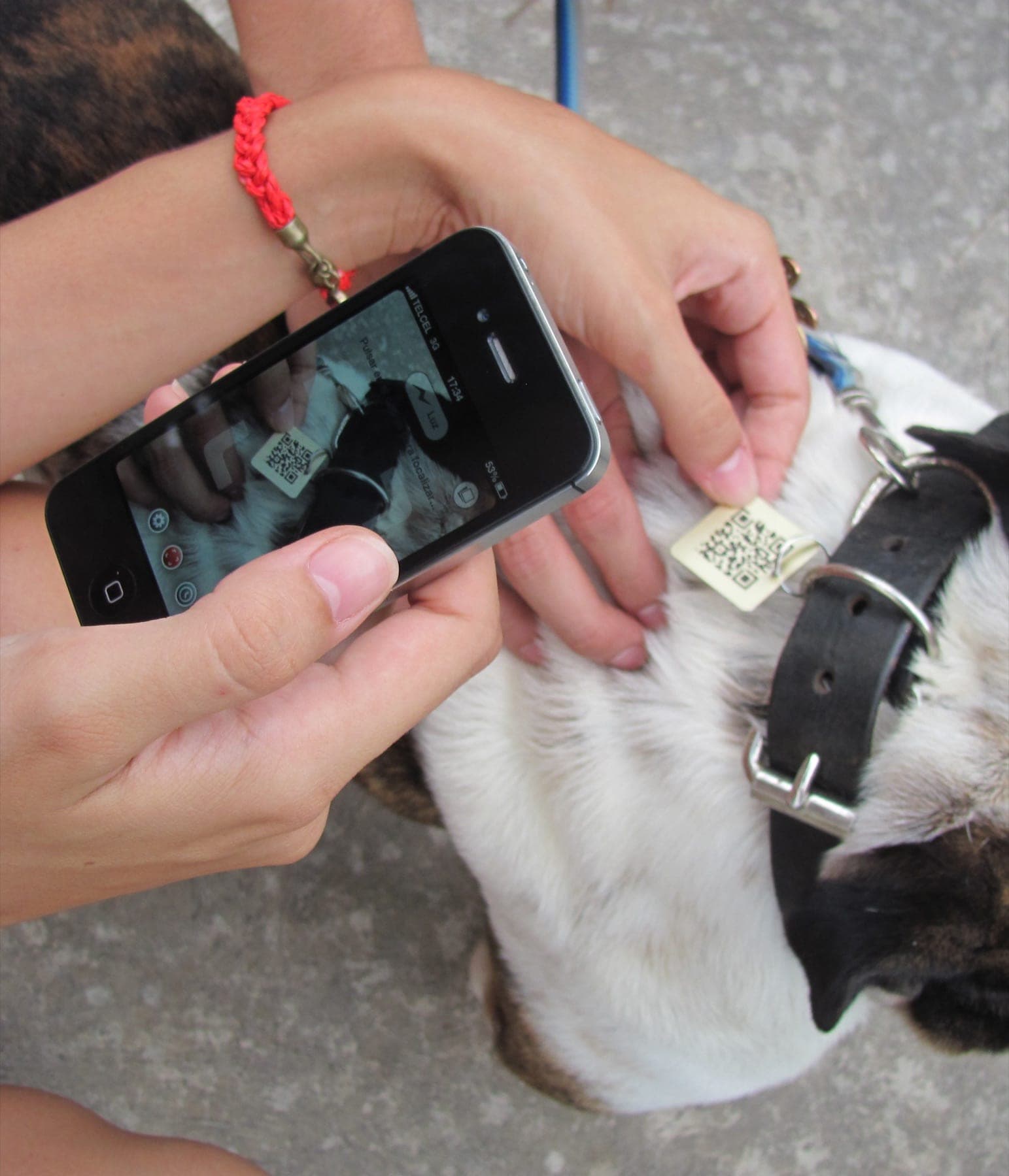 A Zoocial Smart Tag photographed on a pet collar.